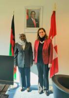 Her Excellency, Caroline Bwanali Mussa; Ambassador and Permanent Representative of the Malawi Mission to the United Nations in Geneva, held several bilateral meetings with her counterparts 